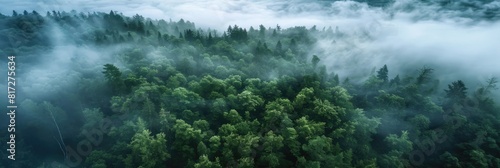 Forest Wallpaper. Aerial View of Misty Forest with Mountain and Hill in Morning Fog