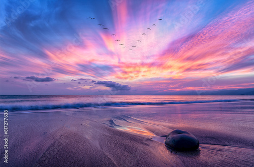 Sunset Ocean Bird Surreal Inspiration Beautiful Nature Beach Ethereal Sunrise