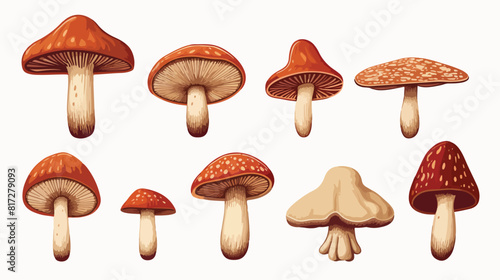 Set of shiitake edible mushrooms sketch style vecto