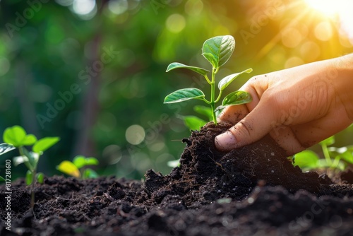 Wallpaper Mural Cultivate the Growth of Young Trees with Hand Protection in a Garden Eco Concept Torontodigital.ca