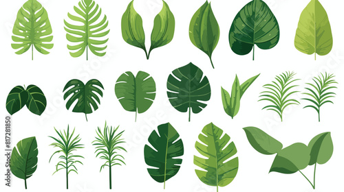 Set of tropical palm leaves vector illustration iso