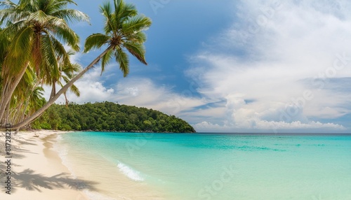 tropical beach panorama with turquoise water and palm trees