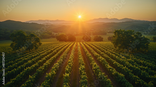 A breathtaking aerial shot showcasing a sprawling organic farm where farmers work tirelessly to cultivate a diverse array of nutrient-rich crops  highlighting the beauty and abunda