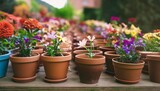 an array of terracotta flowerpots cradling an assortment of colorful flowers captured with a shallow depth of field