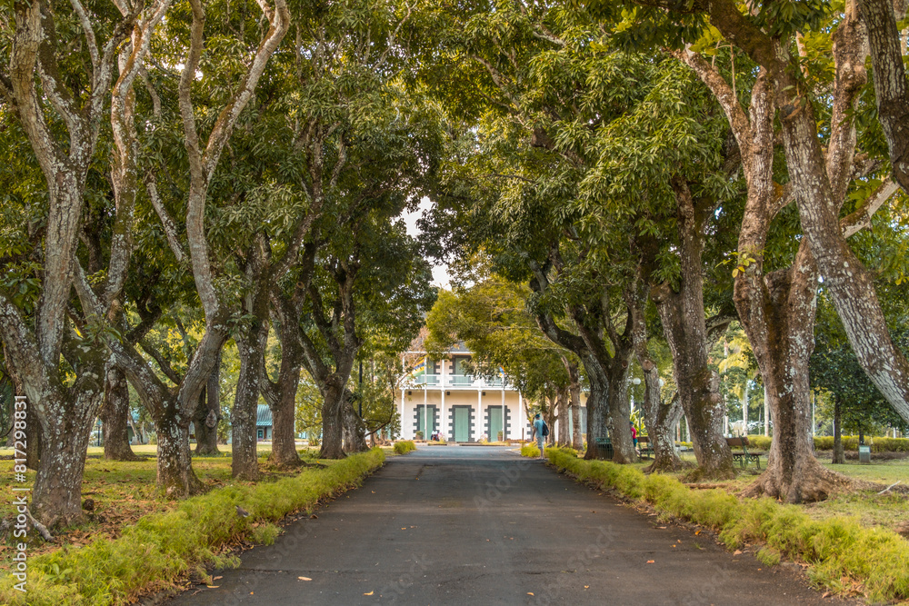 Pamplemousse botanical gardens in Mauritius Pamplemousse botanical gardens in Mauritius