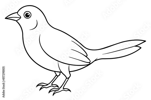 doodle bird vector silhouette illustration