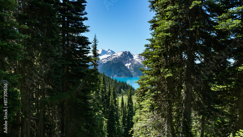 Mountain behind trees in forest with lake