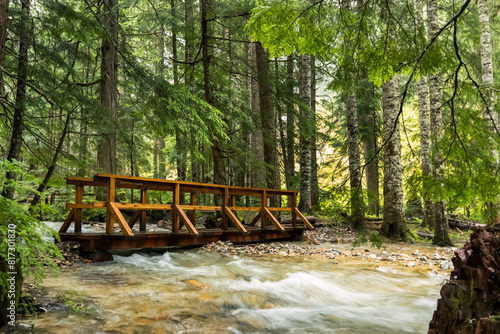 Bridge over river in forest