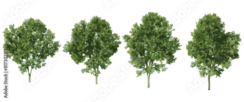 Forest Trees Shapes Cutout 3d illustration.