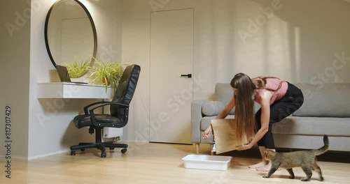 Cat sniffs on litter in a tray. A pet cleans up the toilet, digs cat litter in the tray with. Owner cleaning cat litter box at home. A young cat is in a litter box on the floor and pees.