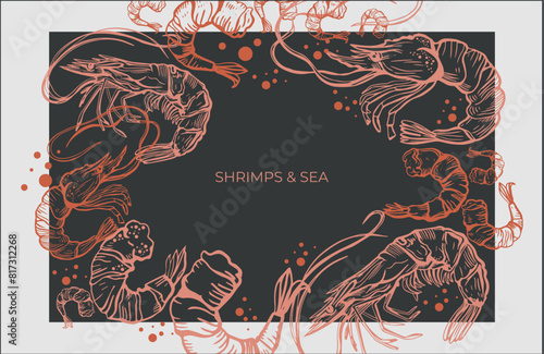 Hand drawn isolated vector set of shrimps and prawns. Shrimps and langoustines on a dark background.. Seafood, food vintage illustration.