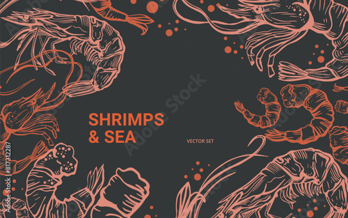 Hand drawn isolated vector set of shrimps and prawns. Shrimps and langoustines on a dark background.. Seafood, food vintage illustration.