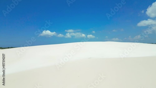 Lonely dead tree in sand dunes on Lencois Maranhenses National Park, Brazil. Aerial drone view. photo