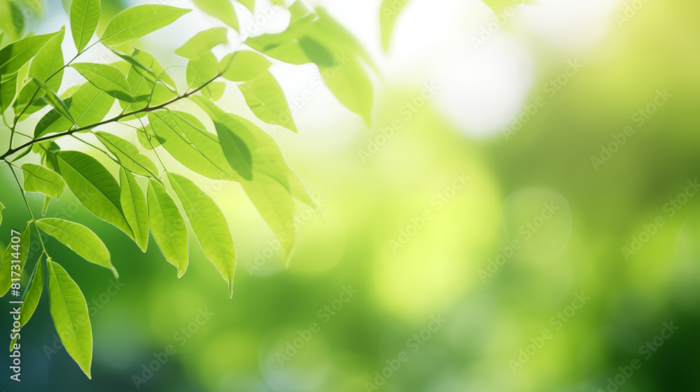 Closeup nature view of green leaves on blurred green background. 16:9 wallpaper Closeup nature view of green leaves on blurred green background. 16:9 wallpaper