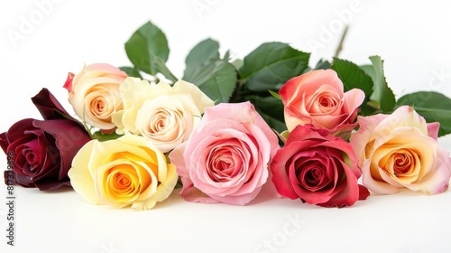 A collection of pink red cream and yellow roses arranged together standing out against a white background