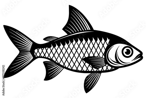 tetra on white background vector silhouette illustration 