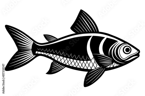 tetra on white background vector silhouette illustration 