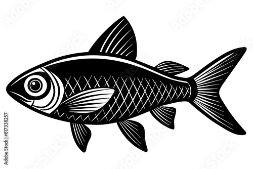 tetra on white background vector silhouette illustration 