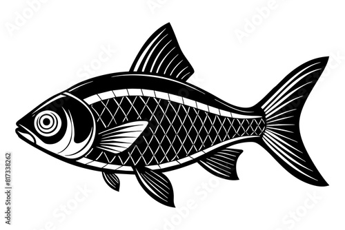 tetra on white background vector silhouette illustration 