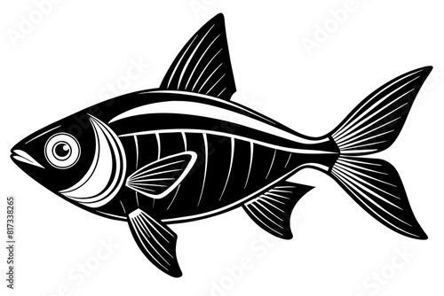 tetra on white background vector silhouette illustration 