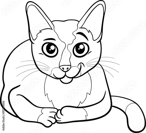 funny cartoon cat comic animal character coloring page