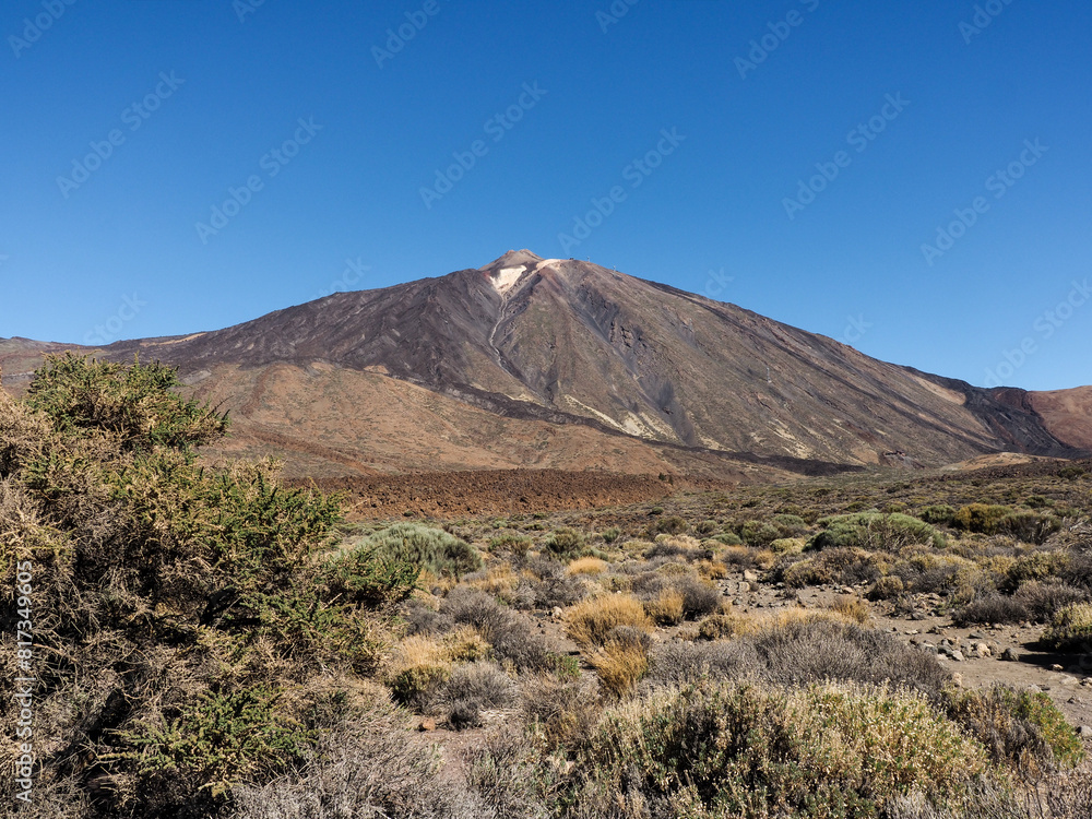 Tenerife, Spain: Teide National Park, landscape Tenerife, Spain: Teide National Park, landscape