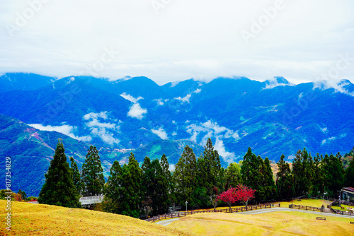 ali shan mountain and qingjing farm landscape in Taiwan	 photo