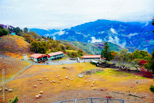 ali shan mountain and qingjing farm landscape in Taiwan photo