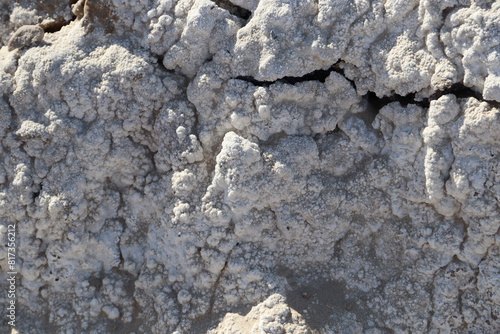 фотографія Salt Flat Close Up