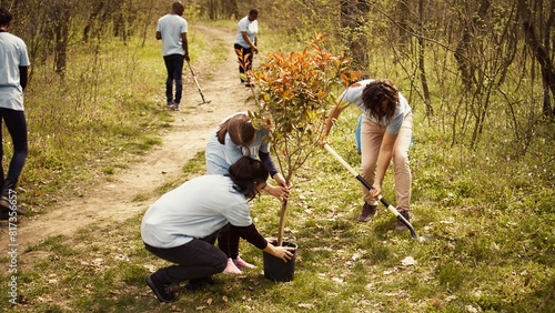 Climate activists planting new trees in a woodland ecosystem, digging holes and putting seedlings in the ground. Volunteers working on preserving nature and protecting the environment. Camera B.