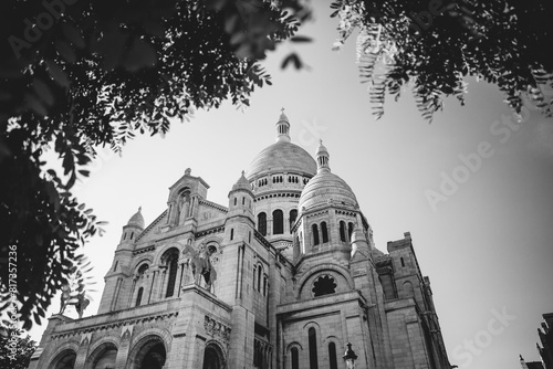 Looking up at the Sacre Coeur through the Trees at Montmartre in Paris, France in black and white