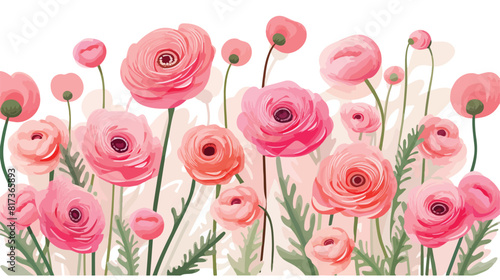 Vector background with pink ranunculus flowers. hol photo