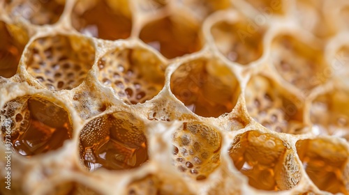 macro photo of honeycomb texture