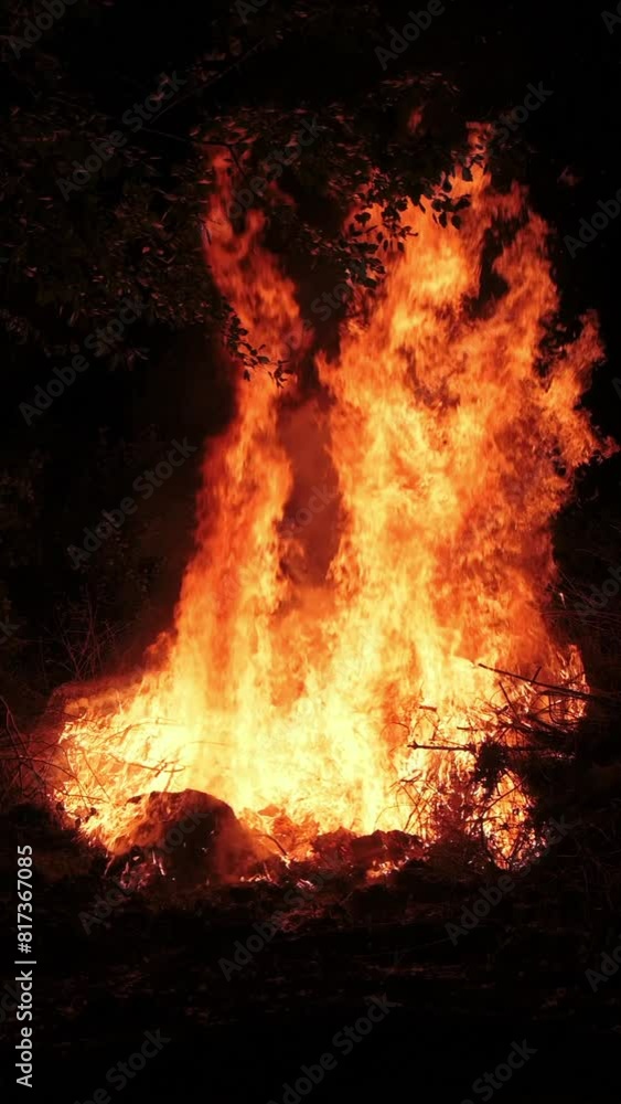A bunch of wood and dry branches burn in slow motion. Vertical video. A bunch of wood and dry branches burn in slow motion. Vertical video.