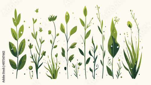 Vector cartoon abstract green plant icon. Wild mead photo