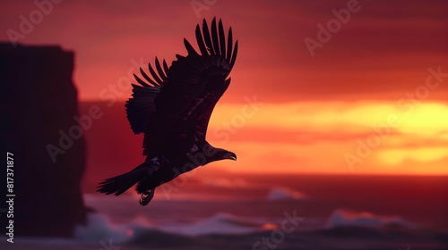 Dramatic Moments: Silhouette of an Eagle Soaring Against a Sunset Sky © Jean