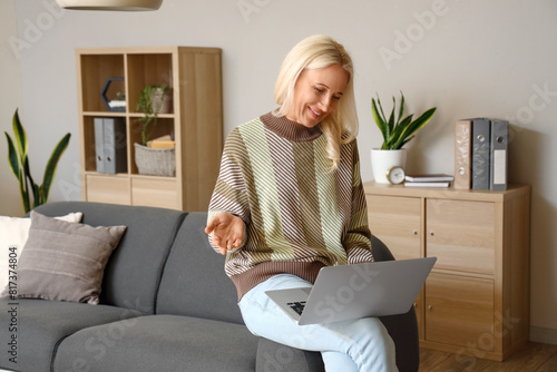 Mature woman with laptop vi...