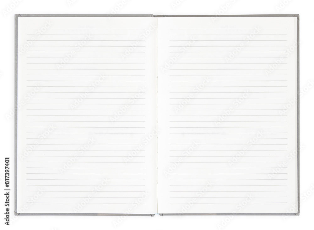 blank lined notebook blank lined notebook