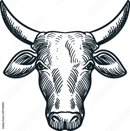 Vintage hand drawn sketch of horn bull head
