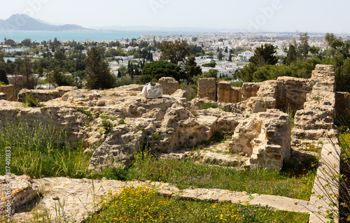 Fotografie Ruins of the house of Hannibal at the excavations of Carthage