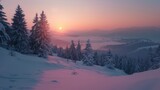 beautiful sunset of a snow covered forest