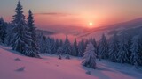 Beautiful sunset of a snow-covered pine forest in winter in high resolution and high quality. landscape concept, snow