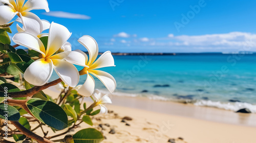 A blooming frangipani tree against the backdrop of a sandy beach and crystal clear turquoise ocean © Myroslava