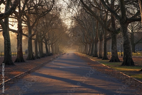 dawns early light at hyde park preparing for prom night festivities © furyon