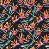 bird of paradise watercolor fabric pattern seamless fashionable summer vintage textile illustration background