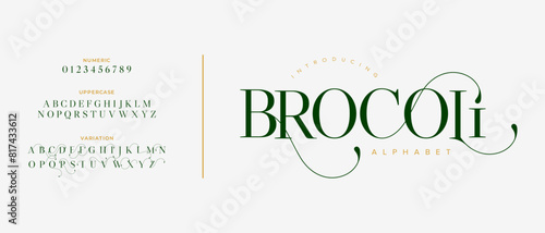 Brocoli elegant font alphabet uppercase lowercase and number. Classic lettering minimal fashion designs. Typography modern serif fonts regular decorative vintage concept. Vector illustration
