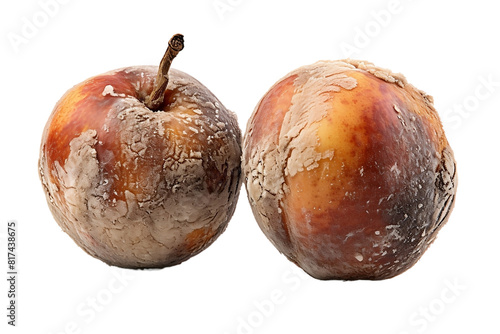 Spoiled peaches showing signs of decay and mold. photo