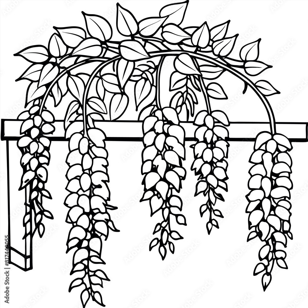 Wisteria Flower outline illustration coloring book page design ...