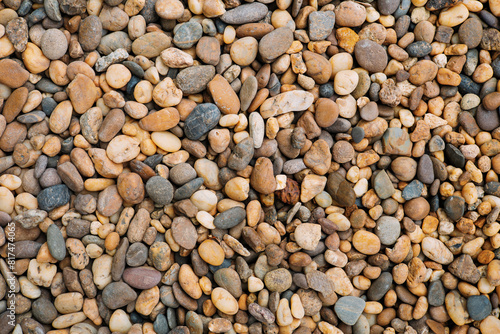 Several brown stones gathered on the ground.