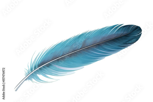 Exquisite blue feather, showcasing nature's beauty and grace. photo